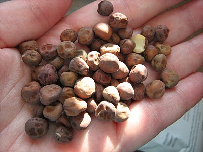 seed-share